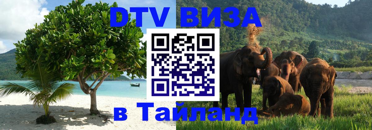 Сколько стоит DTV виза — актуальные цены, оформление даже без документов - 20.11.2025 